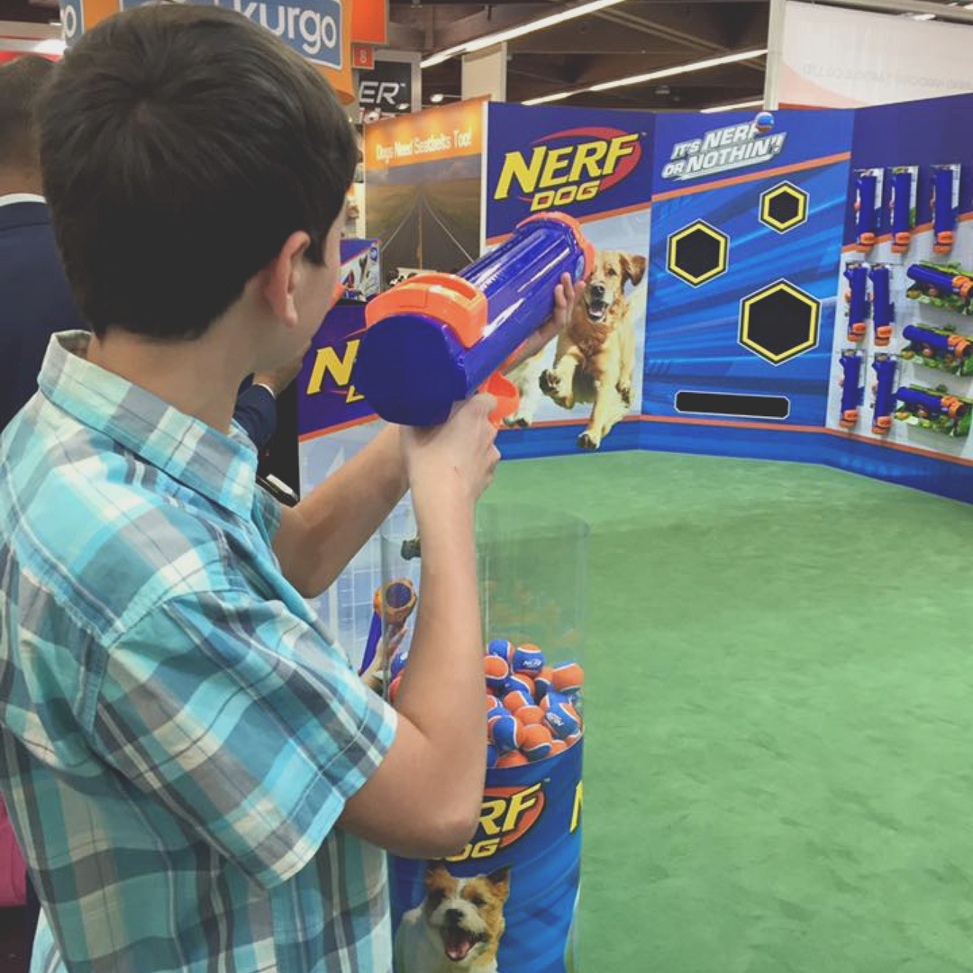 Volwassen nietig Brood Nerf Dog Large Tennis Ball Blaster - Nerf Dog Toys