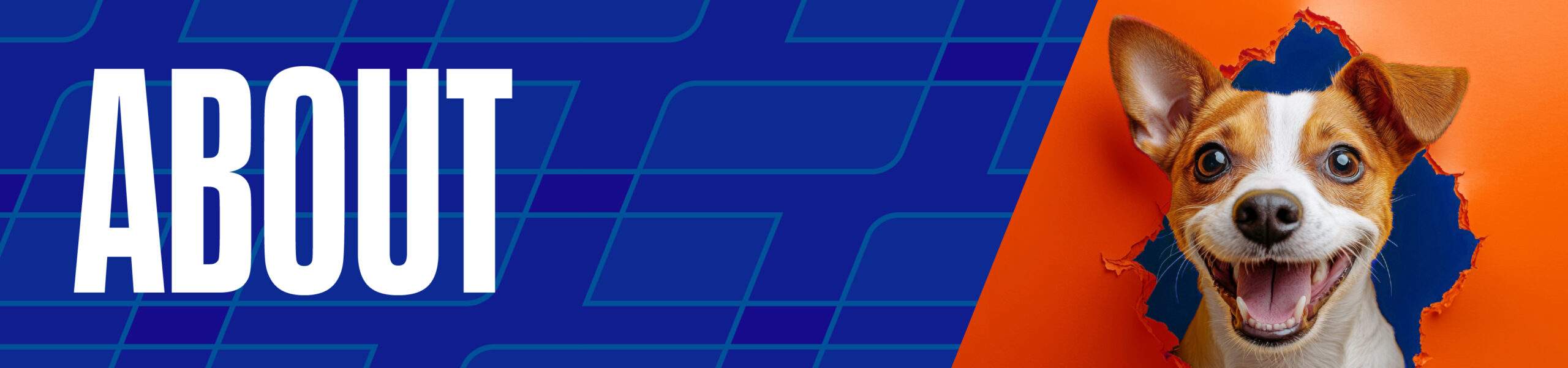About Us Banner