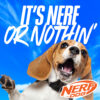Nerf Dog 25" Translucent Air Strike Thrower
