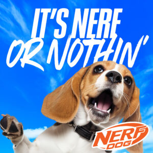Nerf Dog 25" Translucent Air Strike Thrower